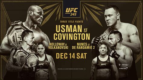 UFC 245 .